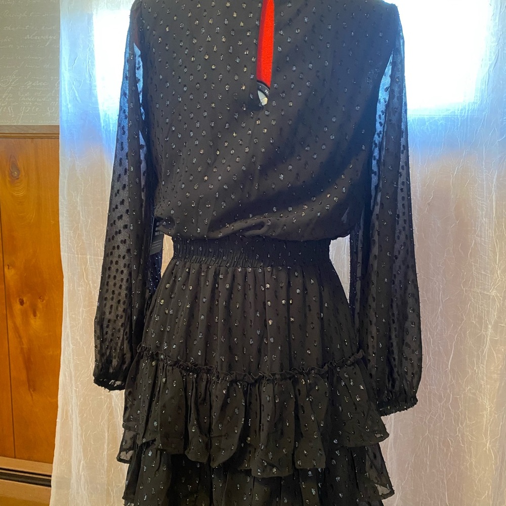 Express Black Ruffled Mini Dress - Picture 5 of 5
